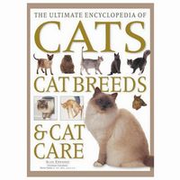 Cats, Cat Breeds and Cat Care