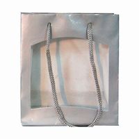 Mini Window Bag Silver