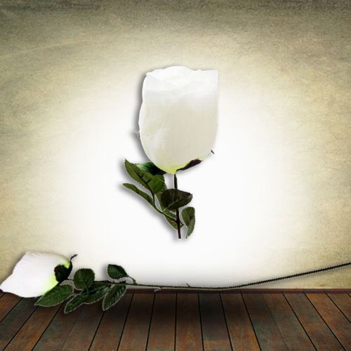Single White Rose - 70cm Long