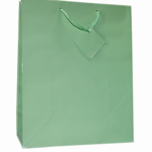 Large Foil Gift Bag