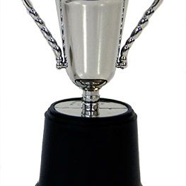 Silver Trophy Sml