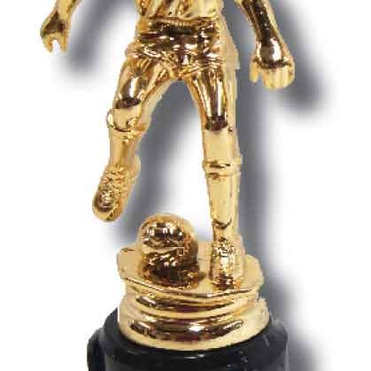 Gold Soccer Trophy 
