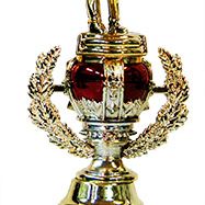 Golfers Trophy Gold /Red