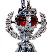 Golfers Trophy Silver/Red