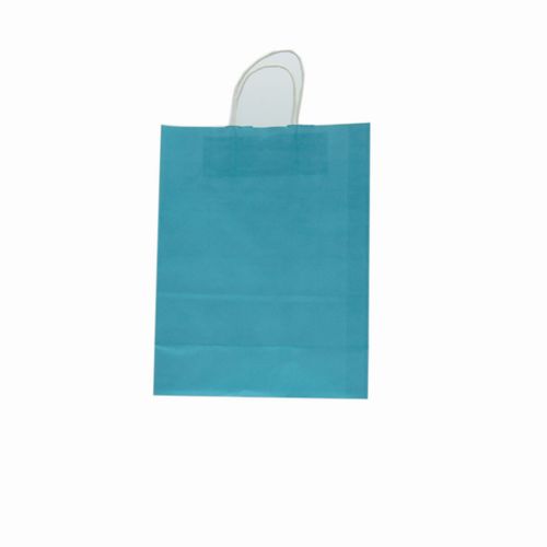Medium Gift Bag Light Blue