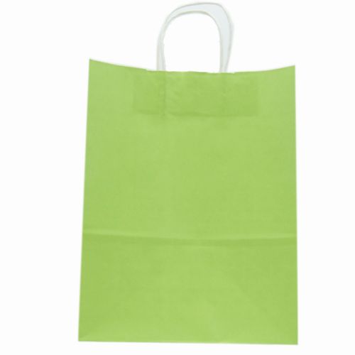 Medium Gift Bag Light Green