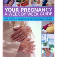 Your Pregnancy A Week By Week Guide