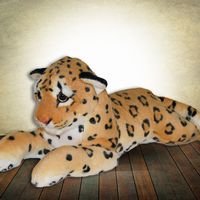 55cm long Laying Leopard Cub