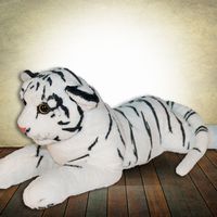 Laying White Tiger Cub 