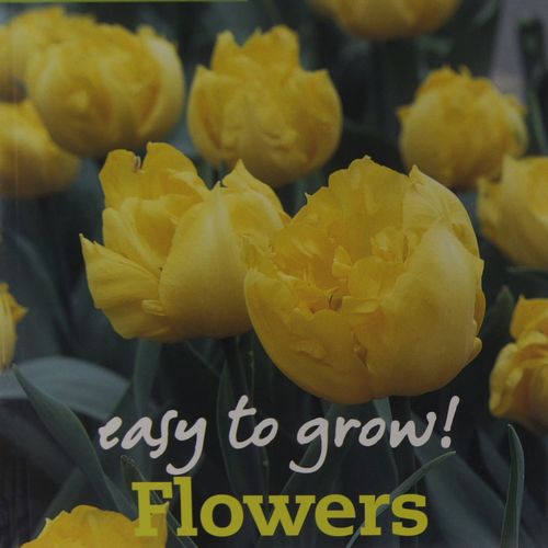 Easy to Grow Flowers