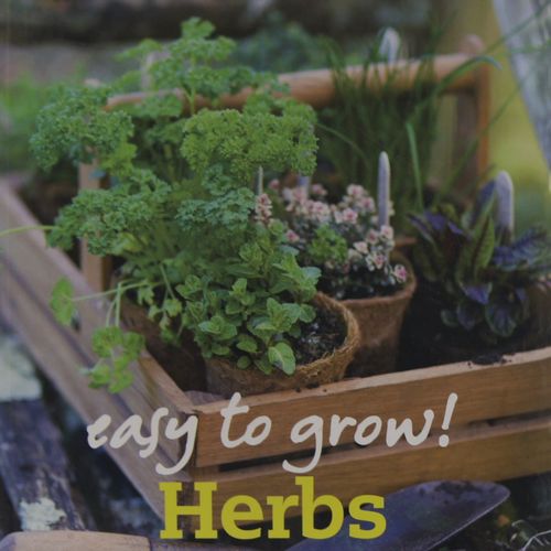 Easy to Grow Herbs