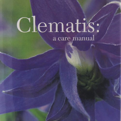 Clematis a care manual
