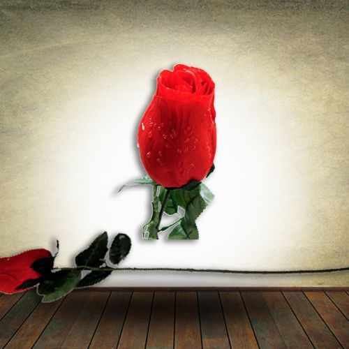 Single Red Rose - 70cm Long