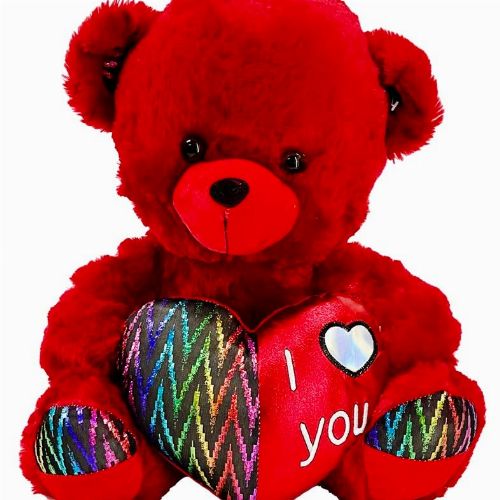 RED TEDDY WITH I LOVE YOU MULTI COLOUR H/PILLOW
