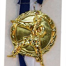 Gold Karate Medal Gold