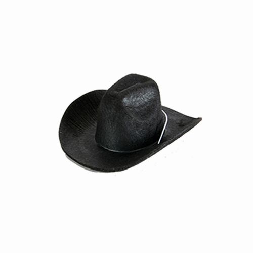 Small Cowboy Hat