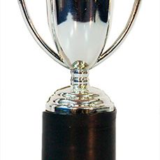 Silver Mini Trophy