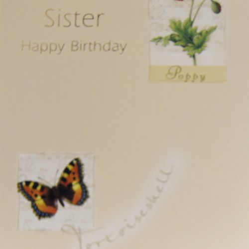 Greeting Cards (6)