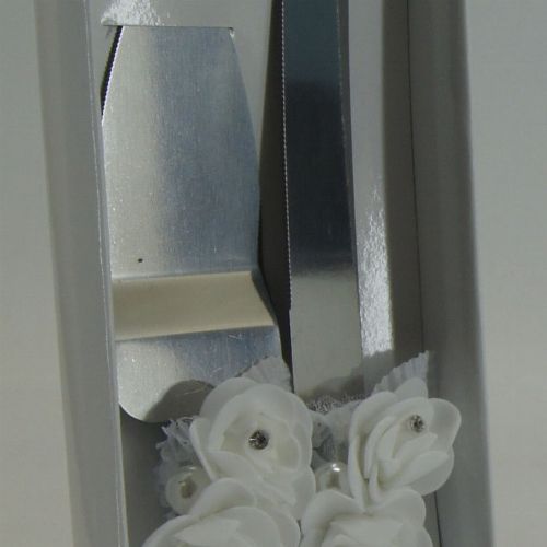 Wedding Cake Lift & Knife Set
