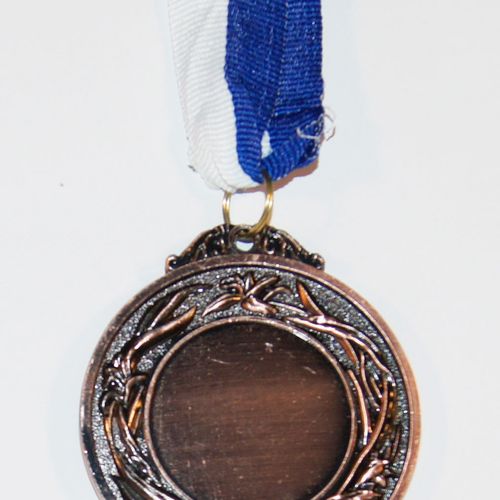 plain medal Bronze